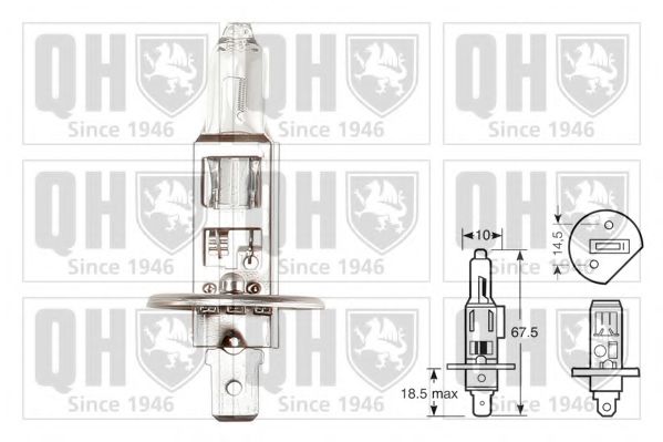 QUINTON HAZELL QBL448
