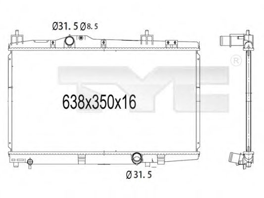 TYC 736-1008