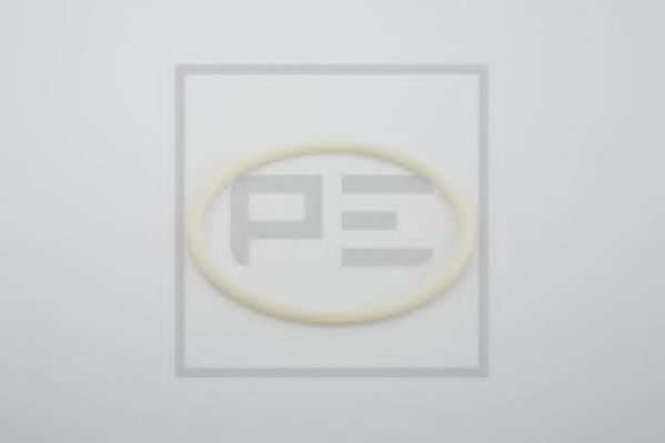 PE Automotive 046.169-00A PE Automotive 046.169-00A