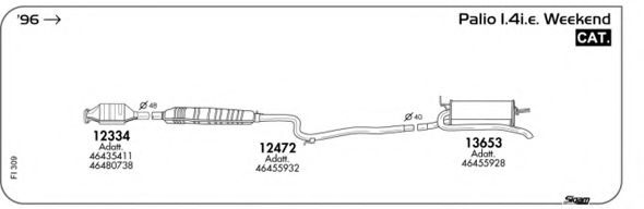 AKS DASIS SGFI309
