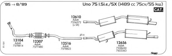 AKS DASIS SGFI191