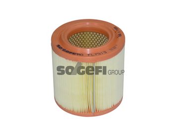 SogefiPro FL7913