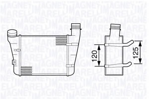 MAGNETI MARELLI 351319203410